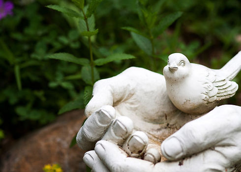 hands_26857bc.jpg